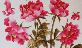 国画牡丹花教学视频,传统技法与现代创意的完美融合